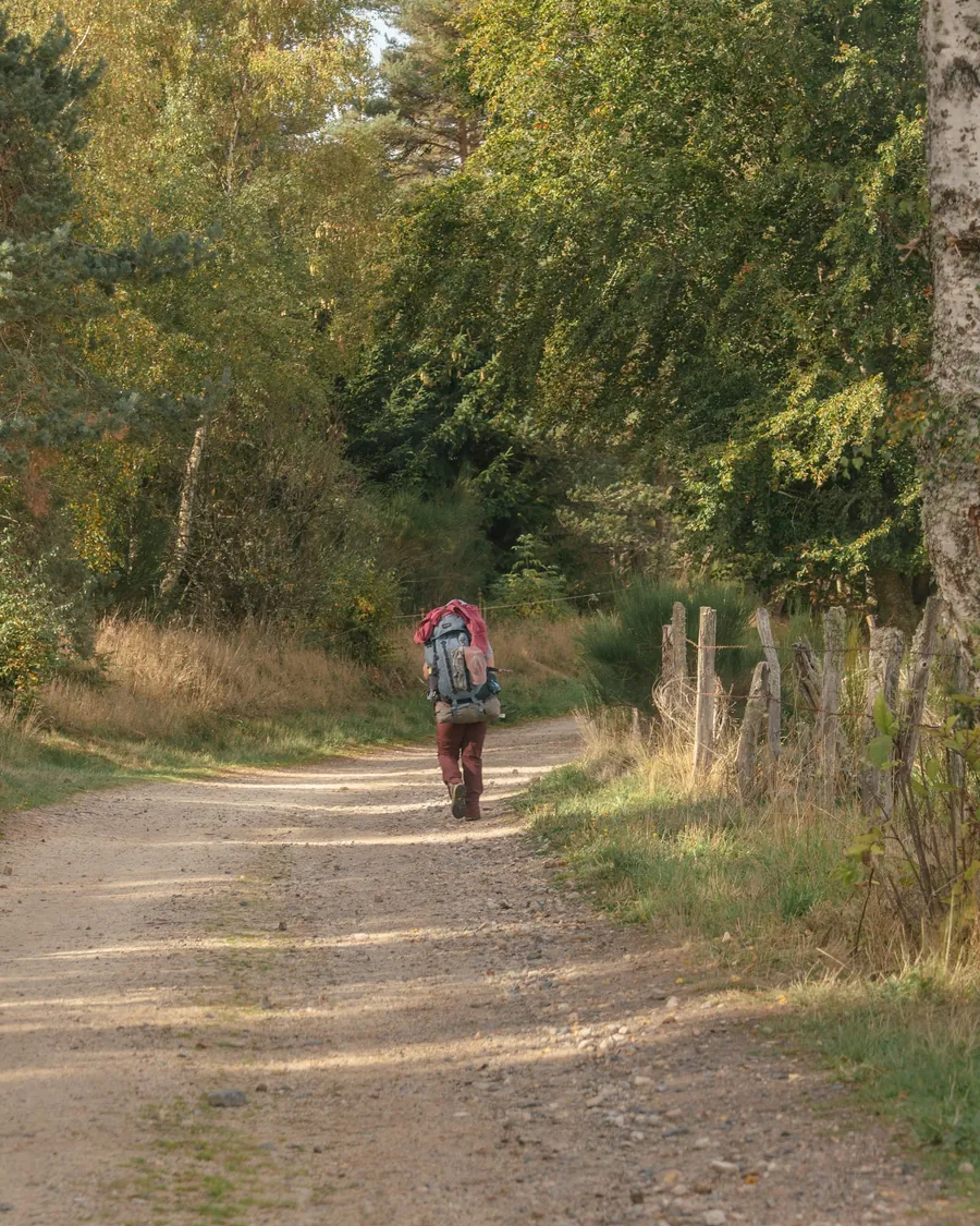 Un marcheur et son sac à dos sur le chemin de Saint-Jacques, entre les arbres, à l'automne
