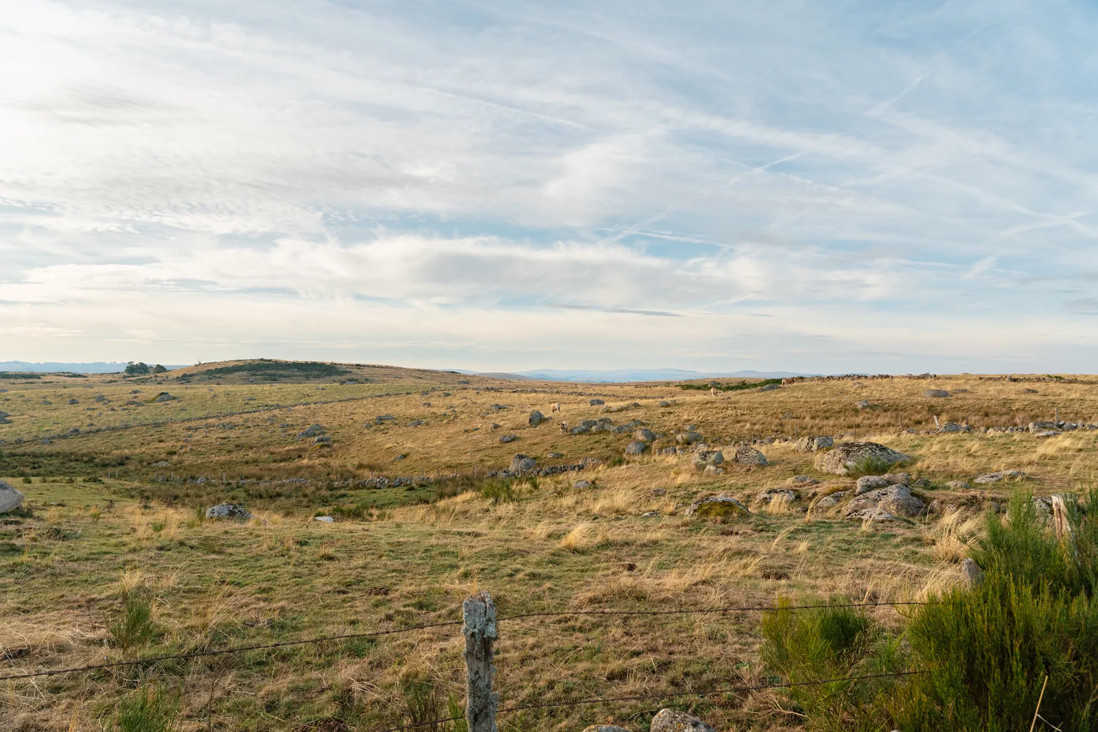 Le village de Malbouzon vu du plateau de l'Aubrac : les toits de lauzes au creux des prairies, les murets de pierre sèche et les blocs de granit au premier plan